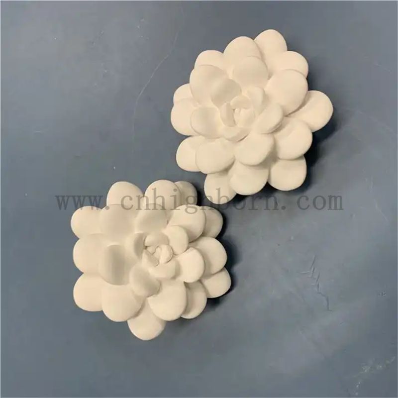 aroma scented Aroma Duft Sukkulent