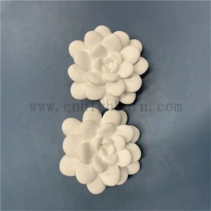 aroma succulent parts Aroma Sukkulent