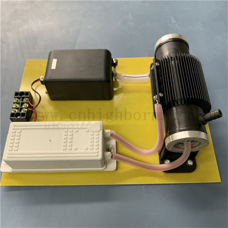 110 V 10G/H Ozon Desinfektionsgenerator O3 -Sterilisationsmaschine für die Wasserbehandlung