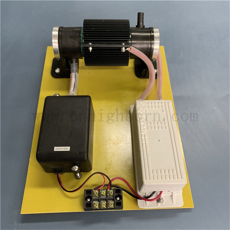 110 V 10G/H Ozon Desinfektionsgenerator O3 -Sterilisationsmaschine für die Wasserbehandlung