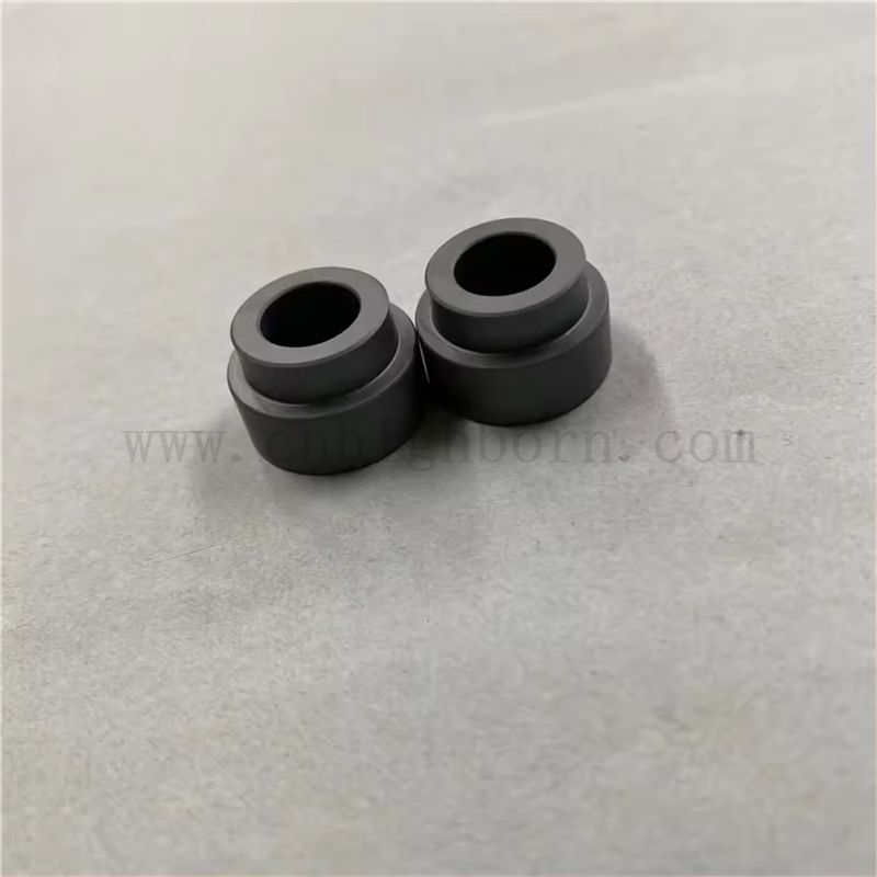 Siliziumkarbidkeramikarmed maßgeschneiderter unter Druck sehender SIC -Busch