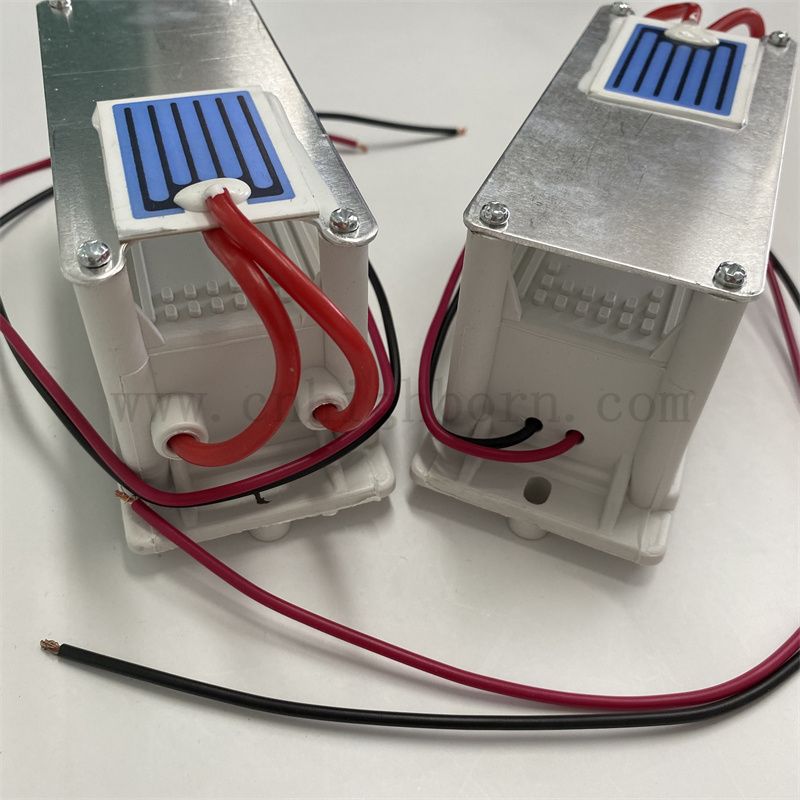 220 V 1G/H Keramikblech Ozongenerator Modul Luftreiniger O3 Ozonator Kit
