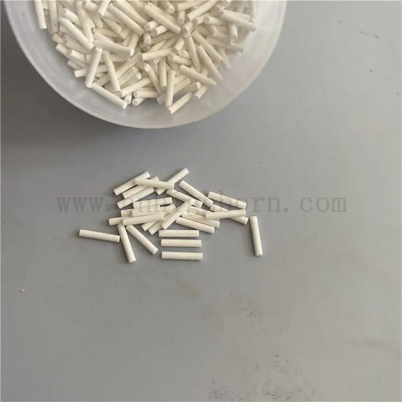 Customized Laboratory Testing Porous Ceramic Medical Reference Eleclode