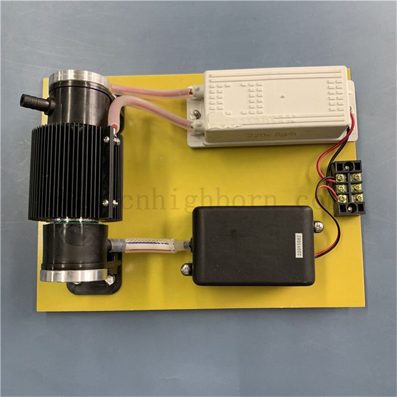 110 V 10G/H Ozon Desinfektionsgenerator O3 -Sterilisationsmaschine für die Wasserbehandlung