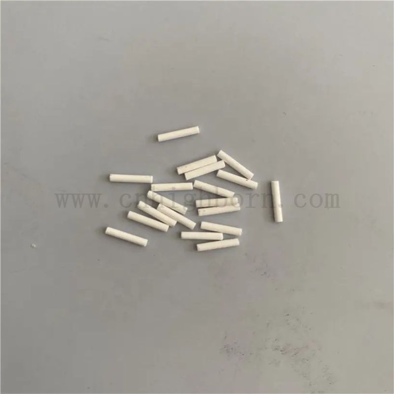 Customized Laboratory Testing Porous Ceramic Medical Reference Eleclode