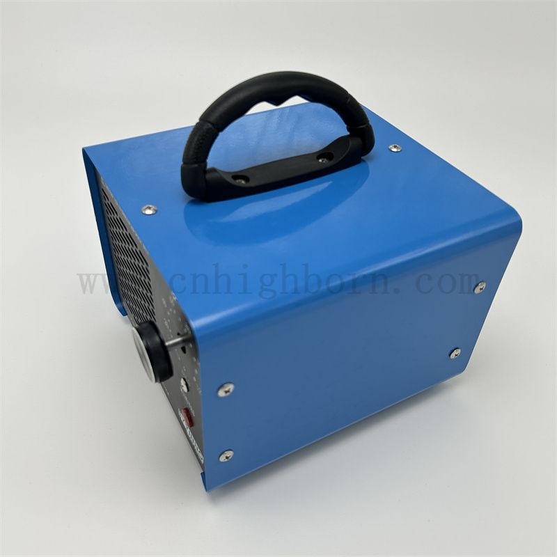 220 V 10 000 mg/h Ozongerät mit Timer Blue Ozono Generator Machine O3 Luftreiniger für Zuhause