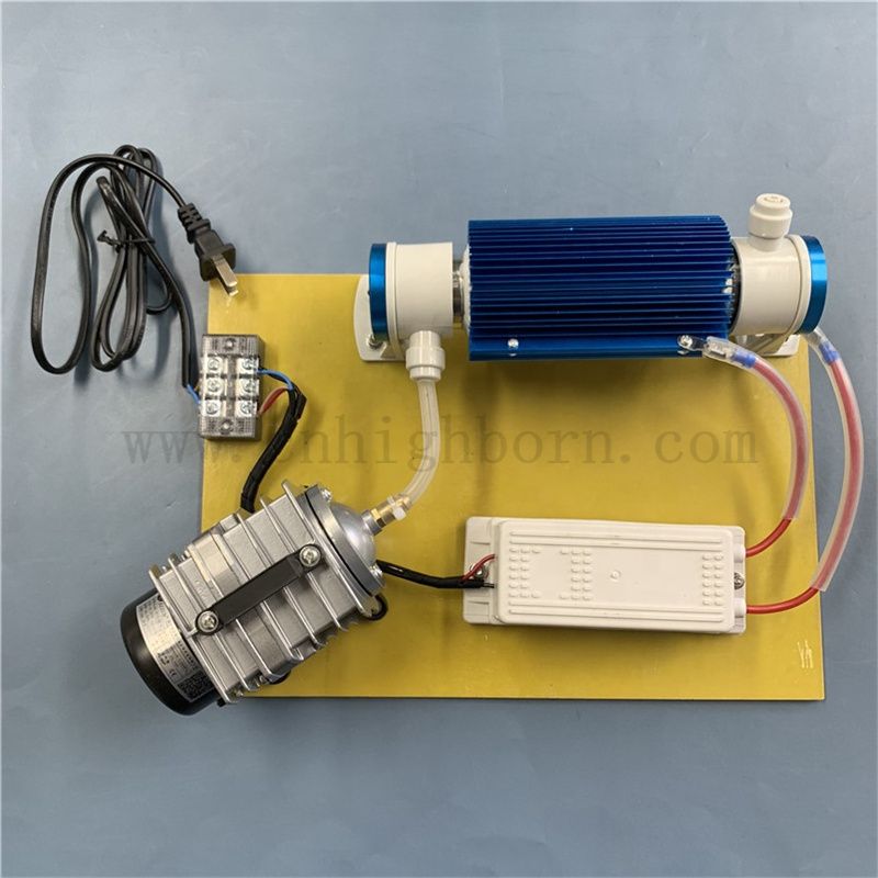 Customized 220 V 10 g/h 15g/h Wasserreiniger Ozonator Ozongenerator Modul 