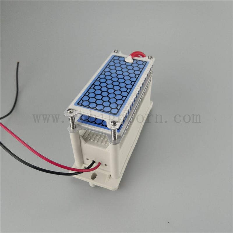 Schnelle Wärme -Dissipation Keramikblech Ozongenerator Modul 220 V 10 g/H Ozonizer