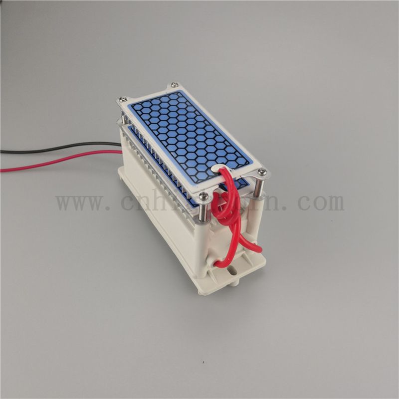 Schnelle Wärme -Dissipation Keramikblech Ozongenerator Modul 220 V 10 g/H Ozonizer