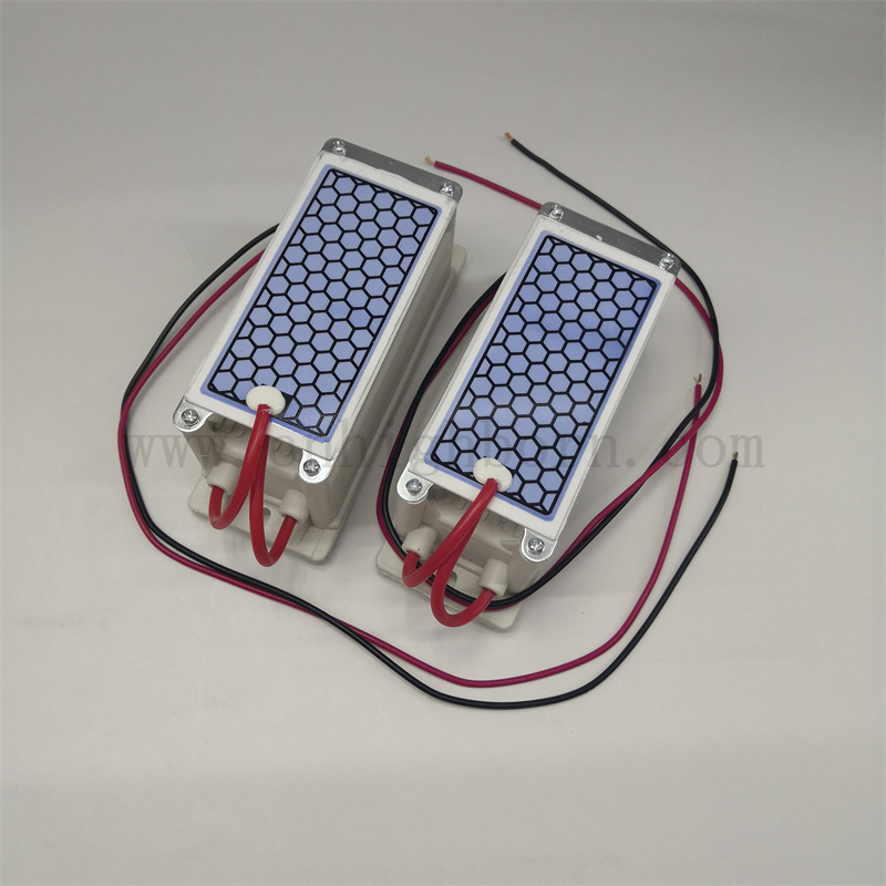 220 V 5G/H Luftreinigung Tragbares Keramikplatten -Ozongeneratormodul