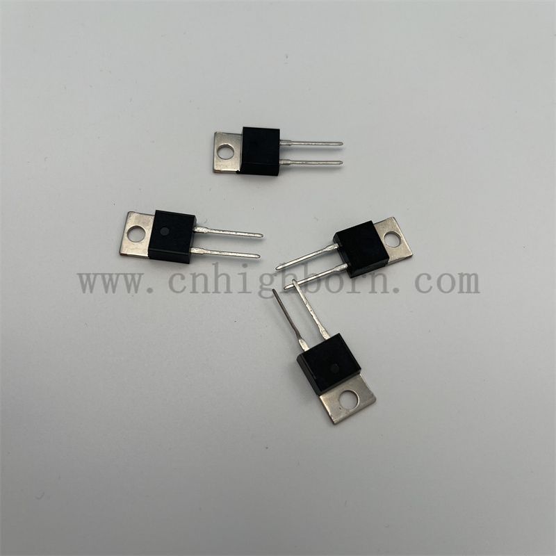 RTP100 Dicker Filmwiderstand