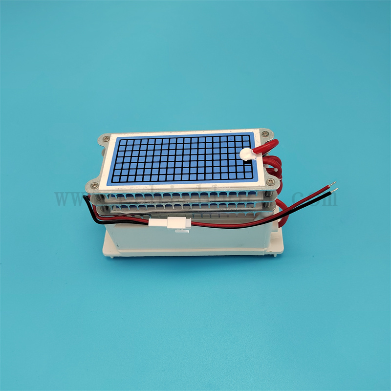 Niedriger Stromverbrauch 220 V 30 g/h tragbarer Keramikplatten -Ozongeneratormodul 