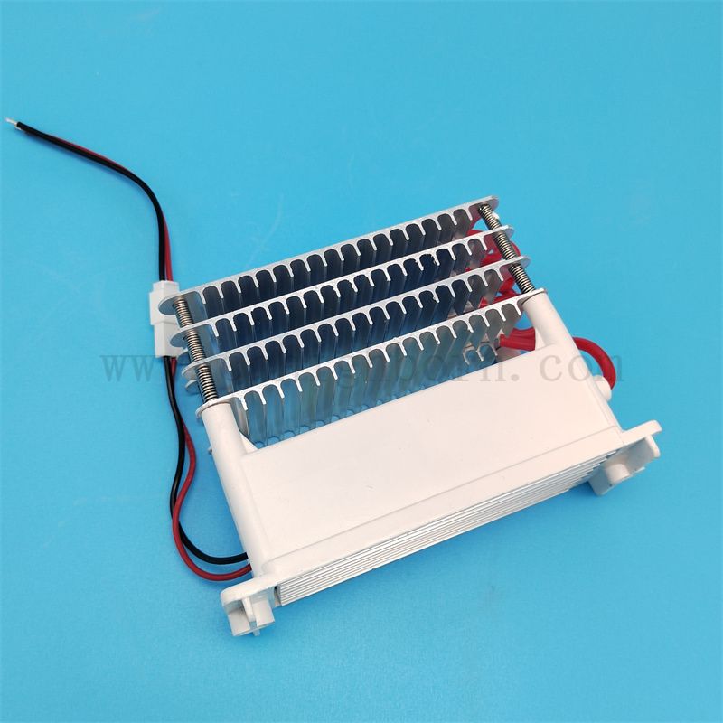 Ozonmaschinen Ersatzteile 220 V 40 g/h 60 g/h Keramikplatte Ozonator Generatormodulluftreiniger