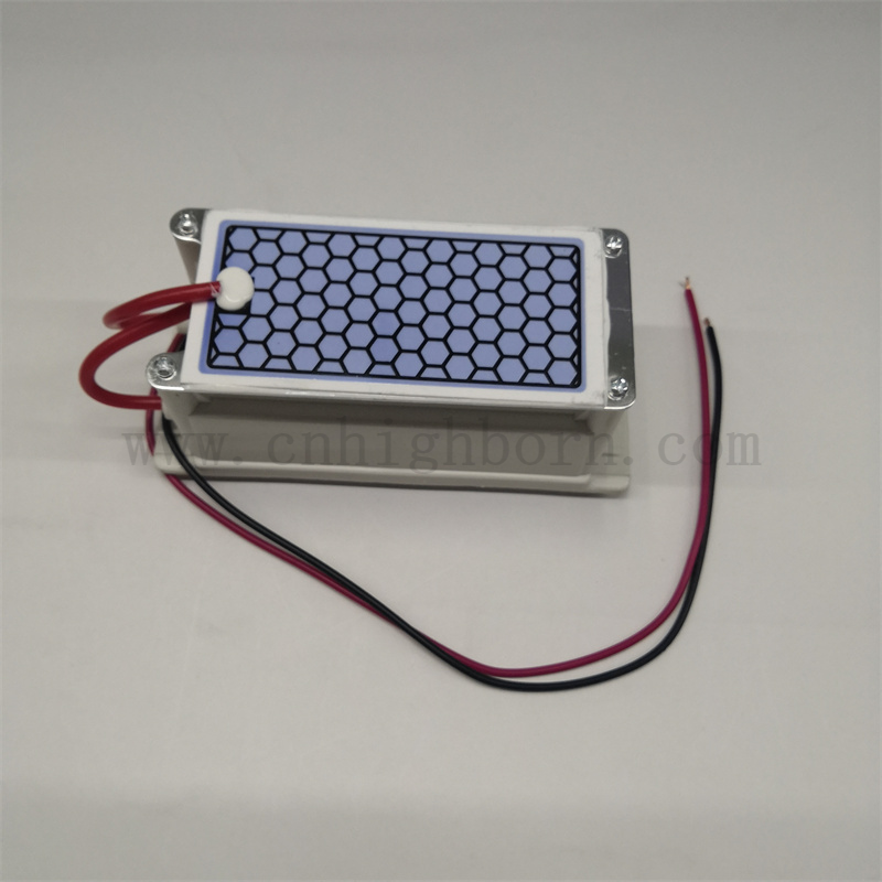 220 V 5G/H Luftreinigung Tragbares Keramikplatten -Ozongeneratormodul