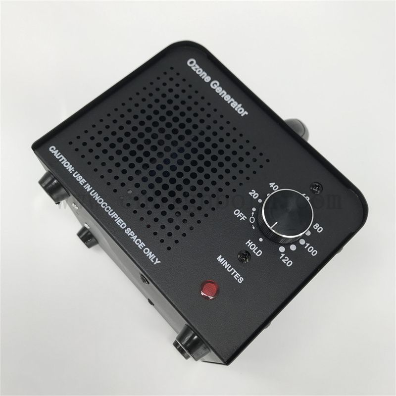 Austauschbarer Keramikplatte Ozon Desinfektionsgenerator Maschine 110 V 10 000 mg/h Luftgekühltes Ozonsterilisator