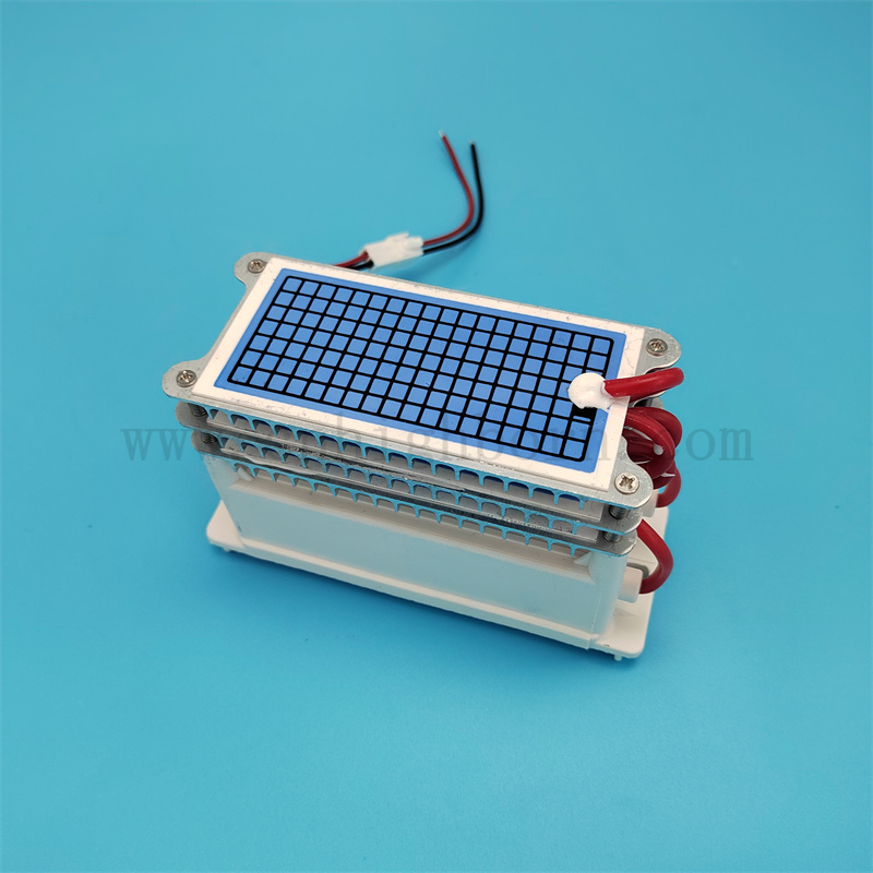 Niedriger Stromverbrauch 220 V 30 g/h tragbarer Keramikplatten -Ozongeneratormodul 