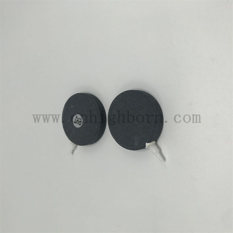 Aquarium-Blasenstein