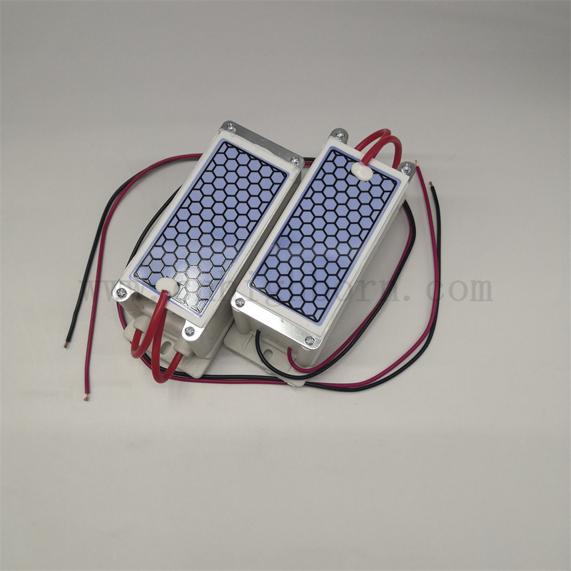 220 V 5G/H Luftreinigung Tragbares Keramikplatten -Ozongeneratormodul