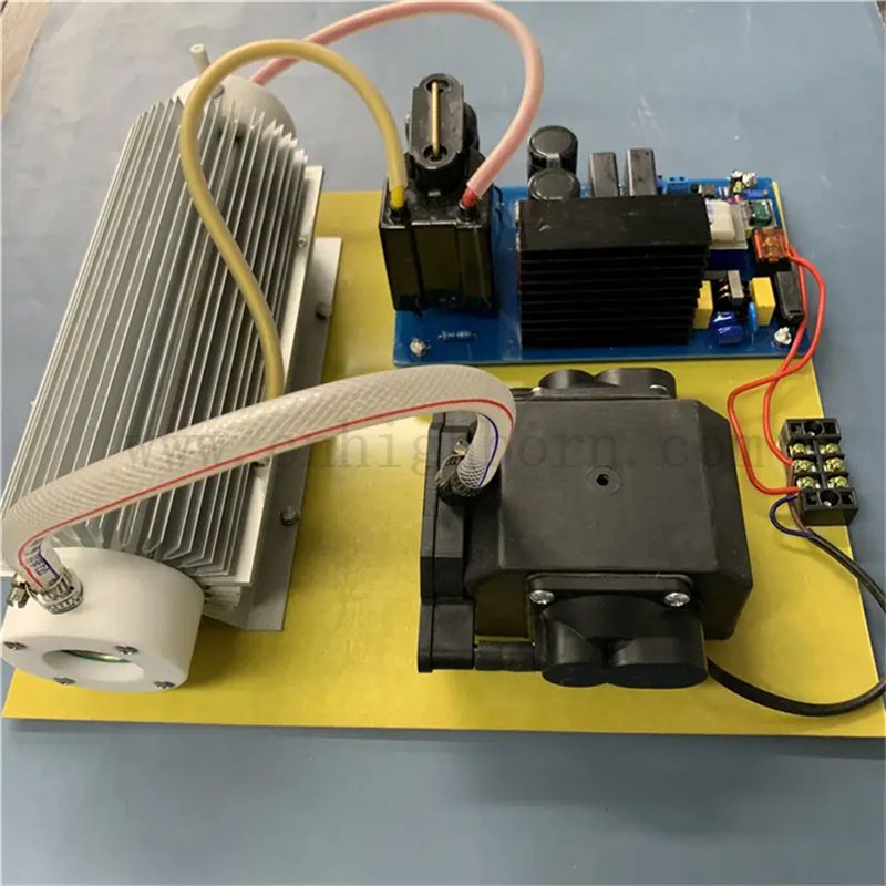 Multifunktional 220 V 20G Ozongenerator Sterilisationsmodul für die Wasserbehandlung 
