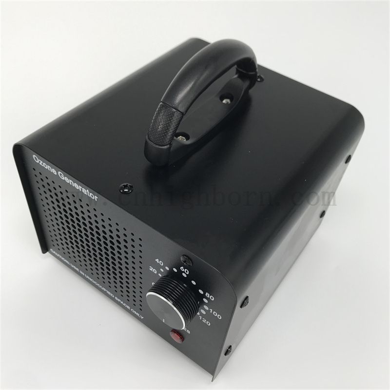 Austauschbarer Keramikplatte Ozon Desinfektionsgenerator Maschine 110 V 10 000 mg/h Luftgekühltes Ozonsterilisator