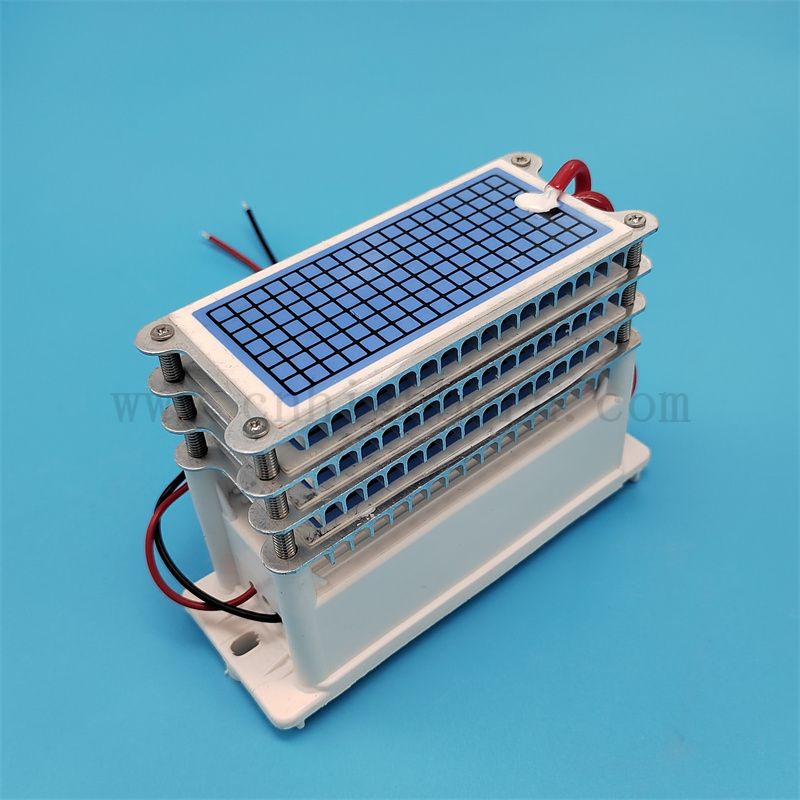 Ozonmaschinen Ersatzteile 220 V 40 g/h 60 g/h Keramikplatte Ozonator Generatormodulluftreiniger