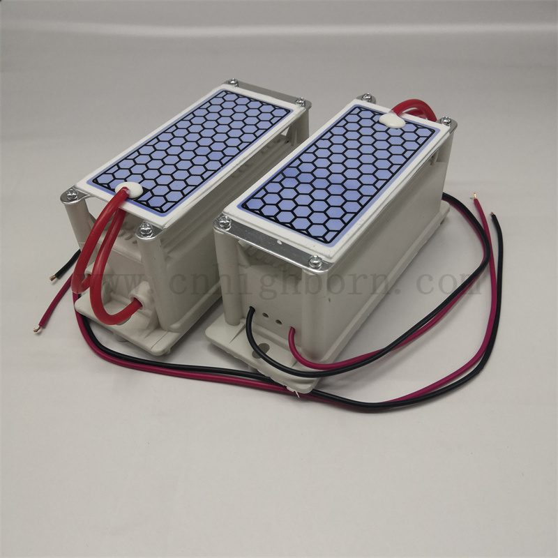 220 V 5G/H Luftreinigung Tragbares Keramikplatten -Ozongeneratormodul