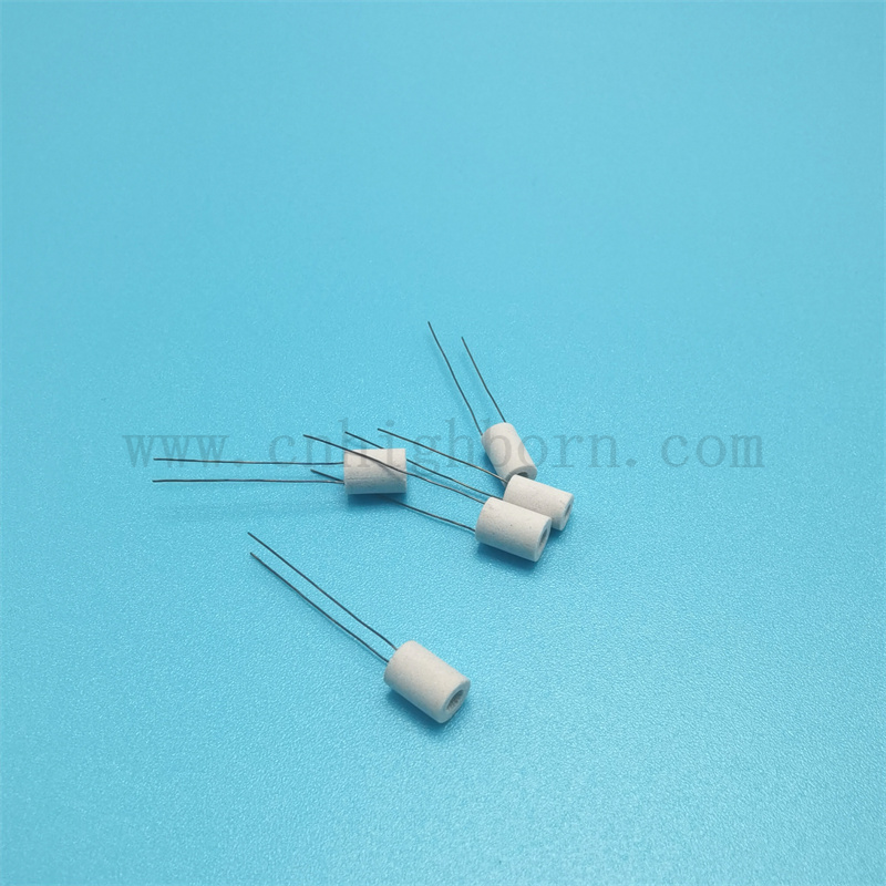 Customisierte umweltfreundliche weiße poröse Keramik-Zigarettenheizungskern mit Blei.