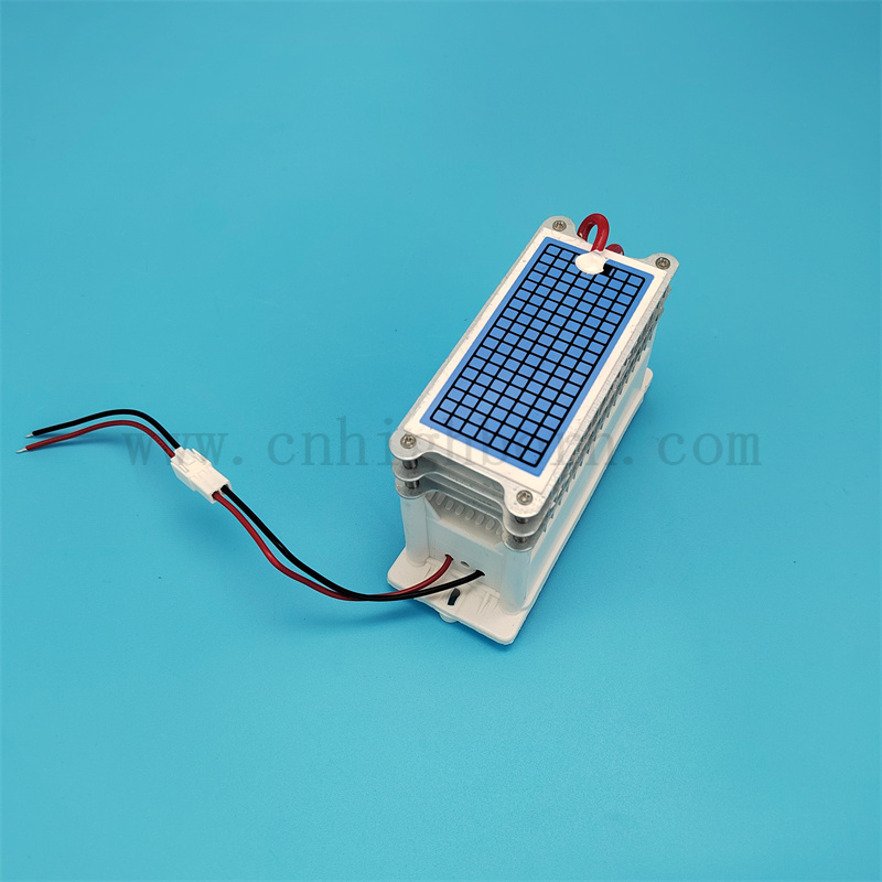 Niedriger Stromverbrauch 220 V 30 g/h tragbarer Keramikplatten -Ozongeneratormodul 