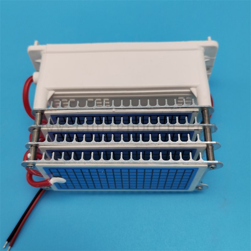 Ozonmaschinen Ersatzteile 220 V 40 g/h 60 g/h Keramikplatte Ozonator Generatormodulluftreiniger