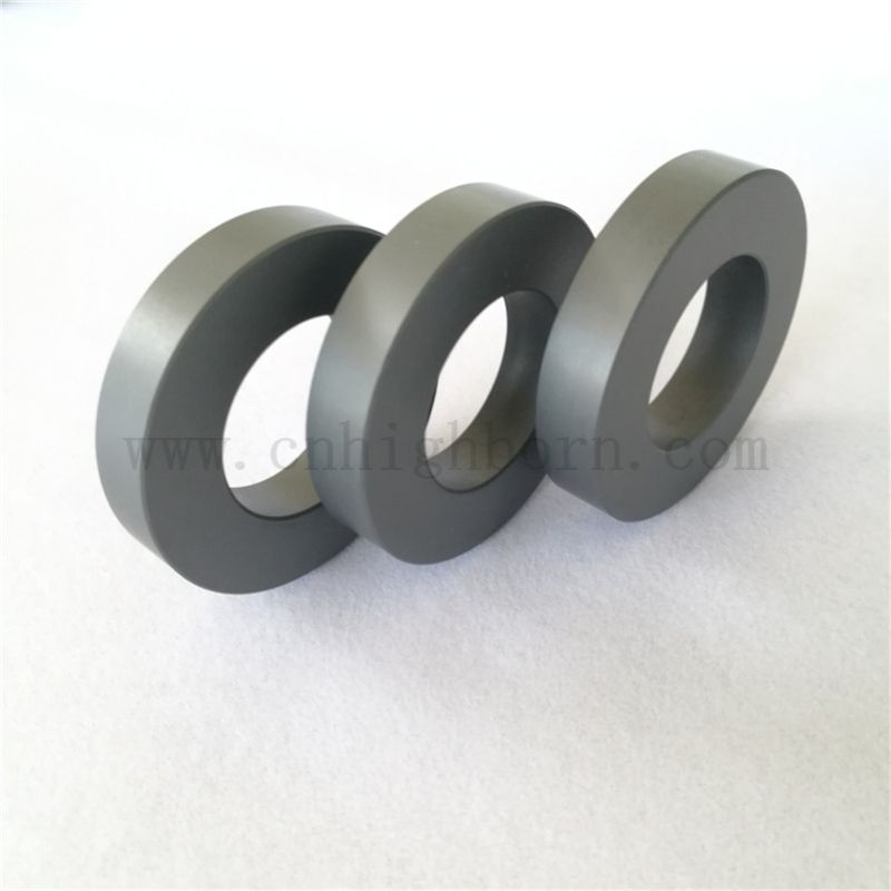 Tragen Sie resistente Siliziumkarbidkeramikring -Kreisschnalle