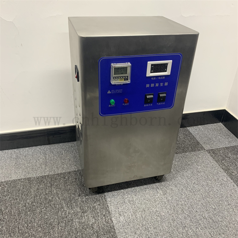 Customisierte 220 Spannung 10 g/Std. Ozongenerator Luftreiniger Desinfektionsmaschine