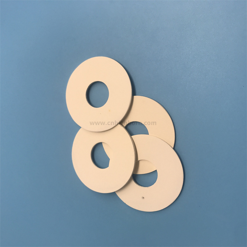 Poröse Filterscheibe aus natürlichem Diatomit, Ring aus Diatomit-Keramik