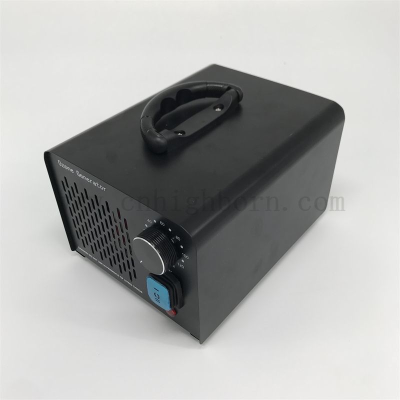 Multifunktionaler Ozongenerator Maschine Tragbarer Luftreiniger 220 V 10 g/H Ozonizer Wasserbehandlung Ozonator