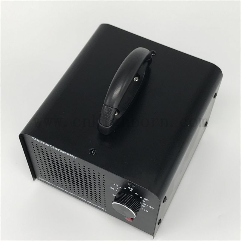 Austauschbarer Keramikplatte Ozon Desinfektionsgenerator Maschine 110 V 10 000 mg/h Luftgekühltes Ozonsterilisator