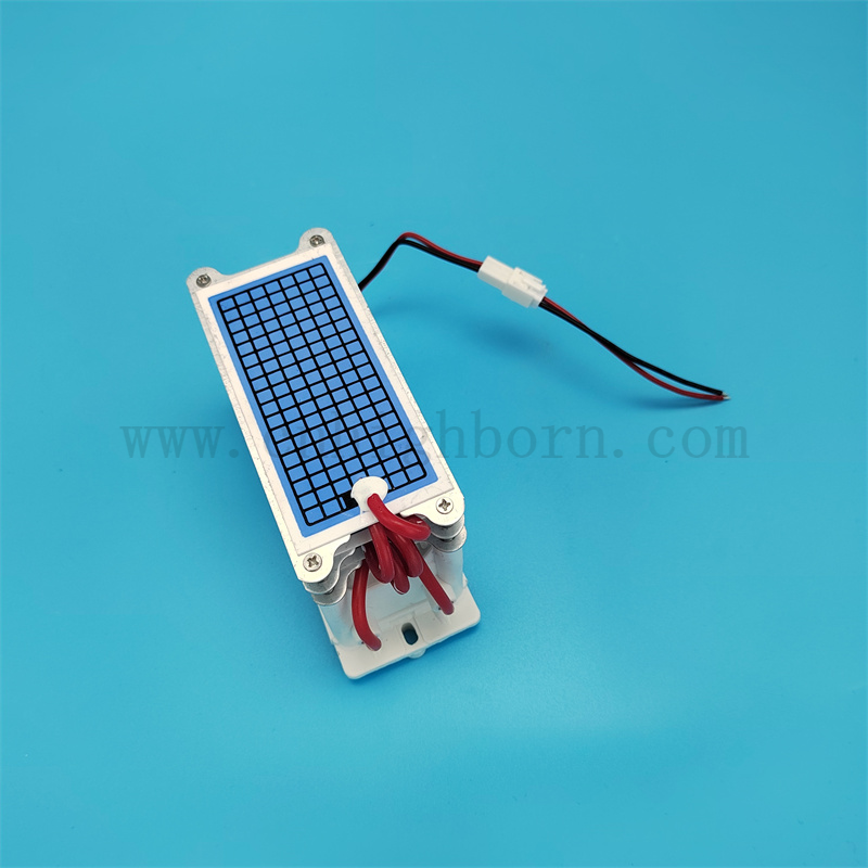 Niedriger Stromverbrauch 220 V 30 g/h tragbarer Keramikplatten -Ozongeneratormodul 