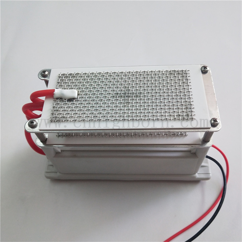 220 V 10 g/h Metallgitter Keramikplatte Ozongenerator Ozonizer -Modul