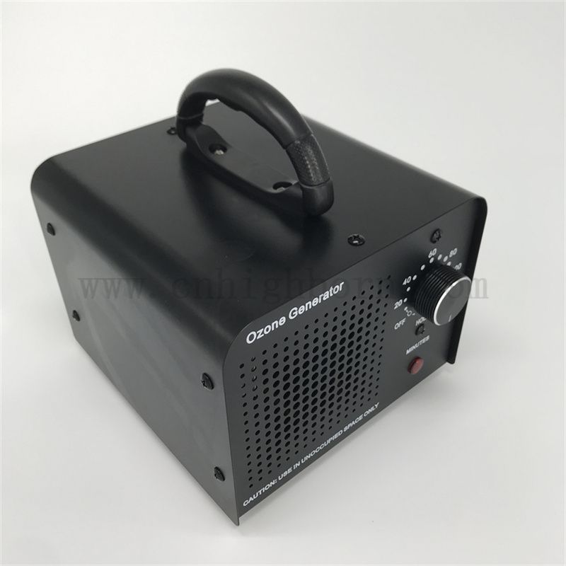 Austauschbarer Keramikplatte Ozon Desinfektionsgenerator Maschine 110 V 10 000 mg/h Luftgekühltes Ozonsterilisator