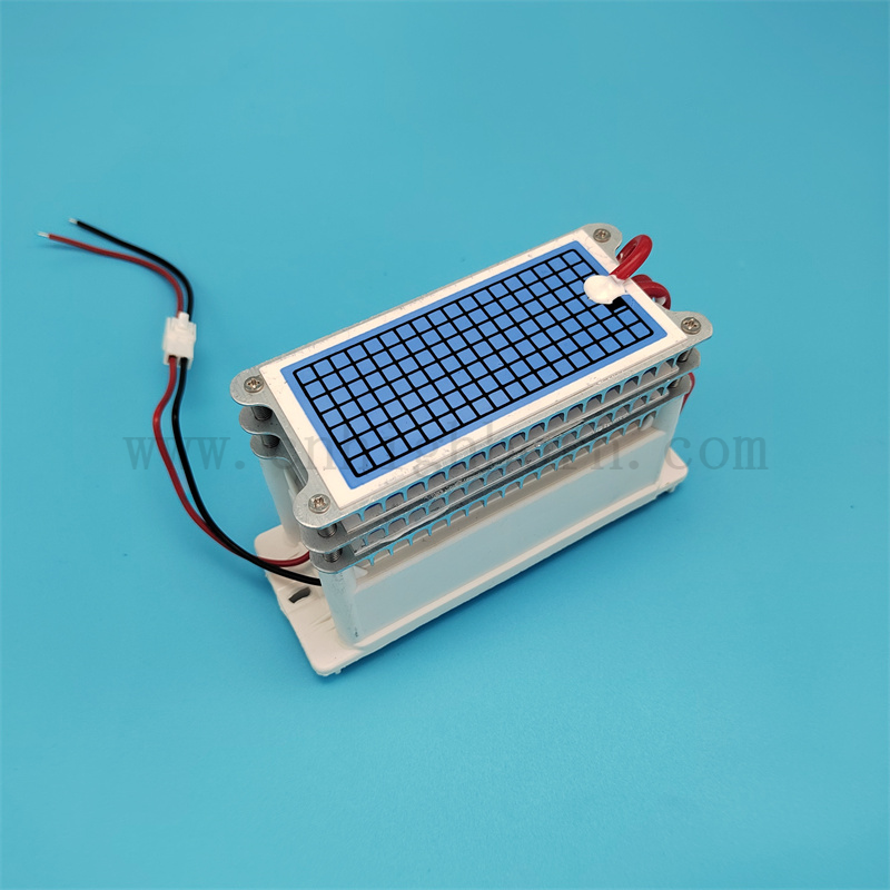 Niedriger Stromverbrauch 220 V 30 g/h tragbarer Keramikplatten -Ozongeneratormodul 